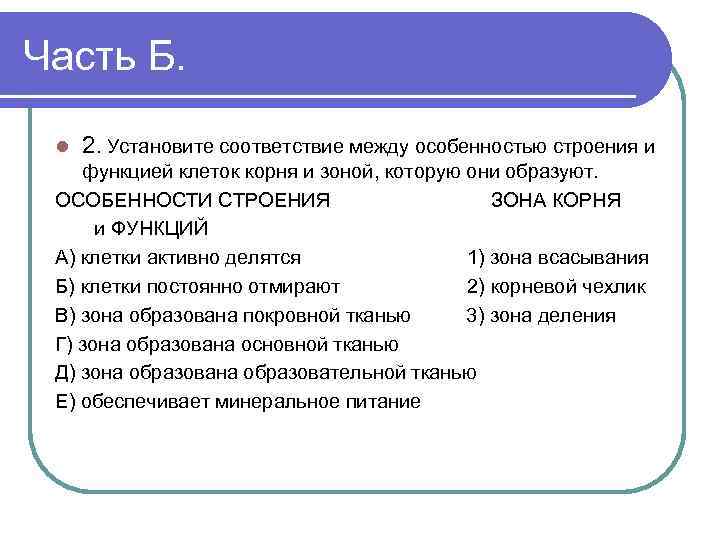 Часть Б. l 2. Установите соответствие между особенностью строения и функцией клеток корня и