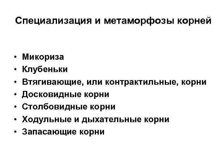 Специализация и метаморфозы корней • • Микориза Клубеньки Втягивающие, или контрактильные, корни Досковидные корни