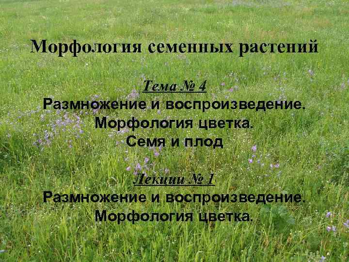 Морфология семенных растений Тема № 4 Размножение и воспроизведение. Морфология цветка. Семя и плод