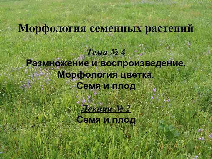 Морфология семенных растений Тема № 4 Размножение и воспроизведение. Морфология цветка. Семя и плод