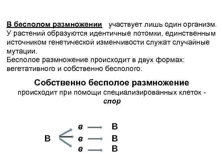 В бесполом размножении участвует лишь один организм. У растений образуются идентичные потомки, единственным источником