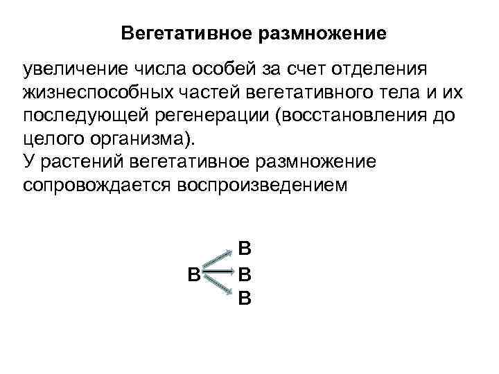 Вегетативное размножение увеличение числа особей за счет отделения жизнеспособных частей вегетативного тела и их