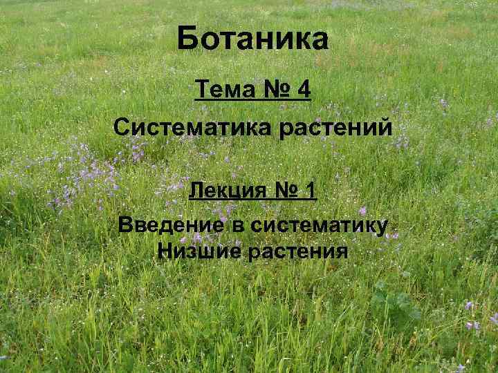 Ботаника Тема № 4 Систематика растений Лекция № 1 Введение в систематику Низшие растения