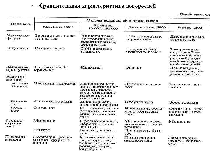  • Сравнительная характеристика водорослей 