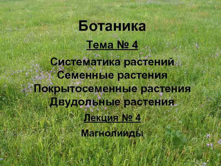 Ботаника Тема № 4 Систематика растений Семенные растения Покрытосеменные растения Двудольные растения Лекция №