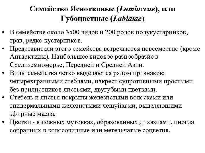 Семейство Яснотковые (Lamiaceae), или Губоцветные (Labiatae) • В семействе около 3500 видов и 200