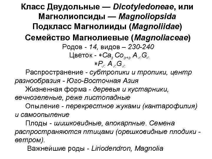 Класс Двудольные — Dicotyledoneae, или Магнолиопсиды — Magnoliopsida Подкласс Магнолииды (Magnoliidae) Семейство Магнолиевые (Magnoliaceae)