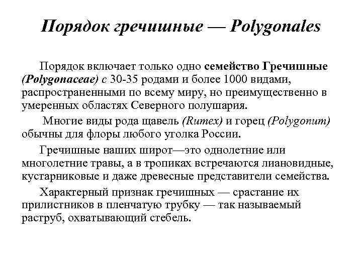 Порядок гречишные — Polygonales Порядок включает только одно семейство Гречишные (Polygoпасеае) с 30 -35