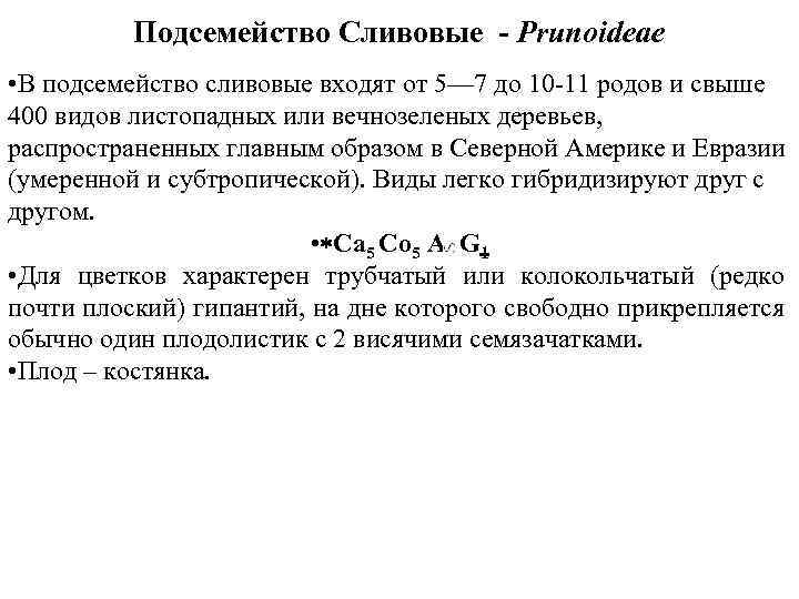 Подсемейство Сливовые - Prunoideae • В подсемейство сливовые входят от 5— 7 до 10