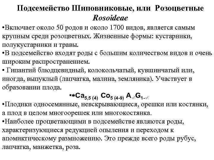 Подсемейство Шиповниковые, или Розоцветные Rosoideae • Включает около 50 родов и около 1700 видов,