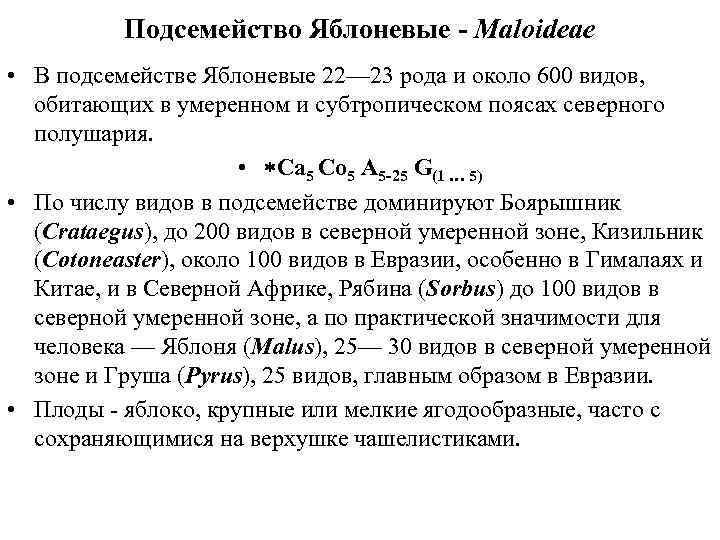 Подсемейство Яблоневые - Maloideae • В подсемействе Яблоневые 22— 23 рода и около 600