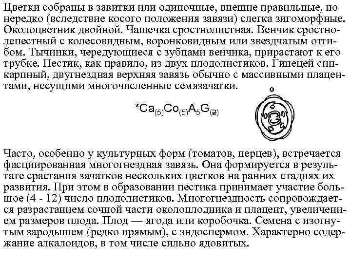 Цветки собраны в завитки или одиночные, внешне правильные, но нередко (вследствие косого положения завязи)