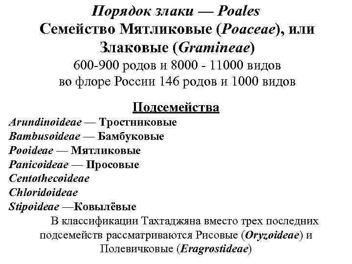 Порядок злаки — Poales Семейство Мятликовые (Роасеае), или Злаковые (Gramineae) 600 -900 родов и