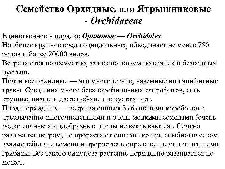 Семейство Орхидные, или Ятрышниковые - Orchidaceae Единственное в порядке Орхидные — Orchidales Наиболее крупное