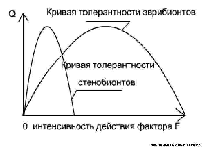 http: //veburak. narod. ru/lectures/lecture 5. html 