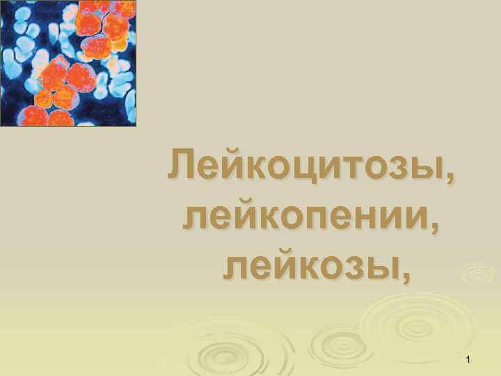 Лейкоцитозы, лейкопении, лейкозы, 1 