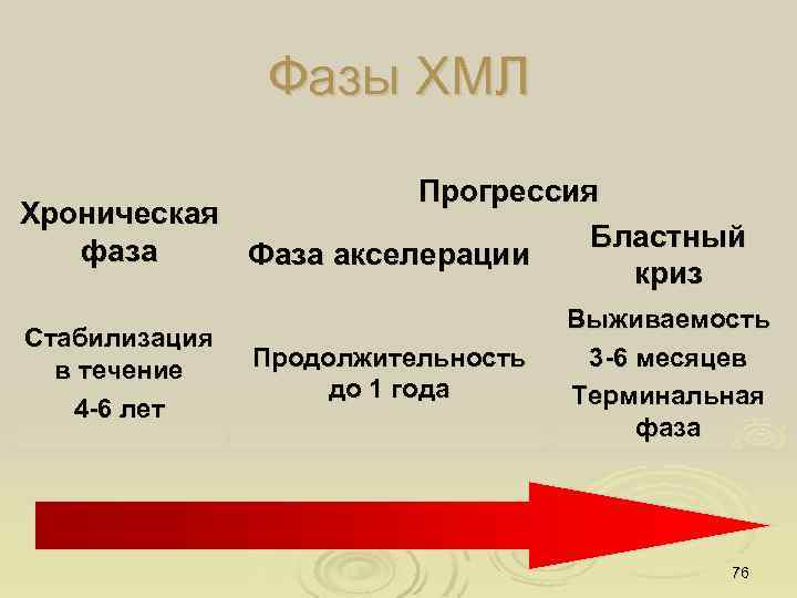 Фазы ХМЛ Прогрессия Хроническая Бластный фаза Фаза акселерации криз Стабилизация в течение 4 -6