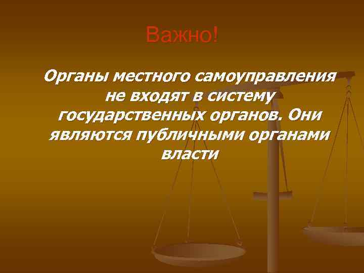 Важно! Органы местного самоуправления не входят в систему государственных органов. Они являются публичными органами