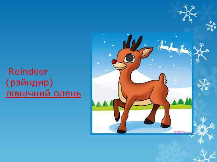 Reindeer (рэйндир) північний олень 