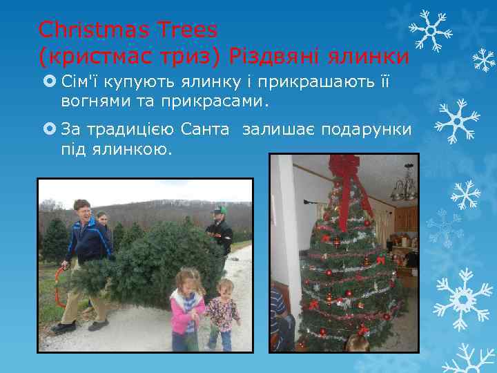 Christmas Trees (кристмас триз) Різдвяні ялинки Сім'ї купують ялинку і прикрашають її вогнями та