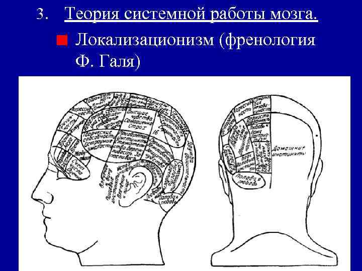 3. Теория системной работы мозга. Локализационизм (френология Ф. Галя) 