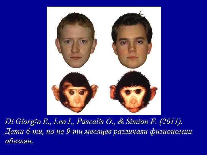 Di Giorgio E. , Leo I. , Pascalis O. , & Simion F. (2011).