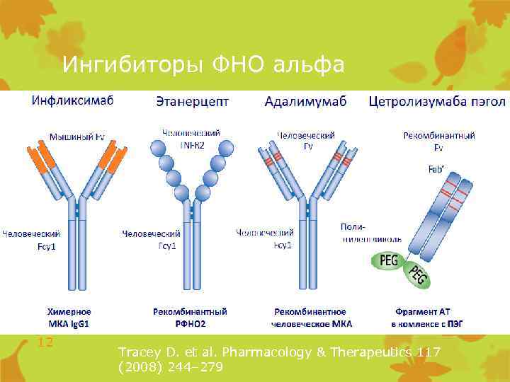 Ингибиторы ФНО альфа 12 Tracey D. et al. Pharmacology & Therapeutics 117 (2008) 244–