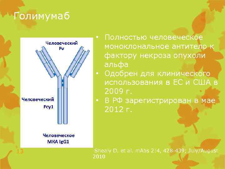 Голимумаб • Полностью человеческое моноклональное антитело к фактору некроза опухоли альфа • Одобрен для