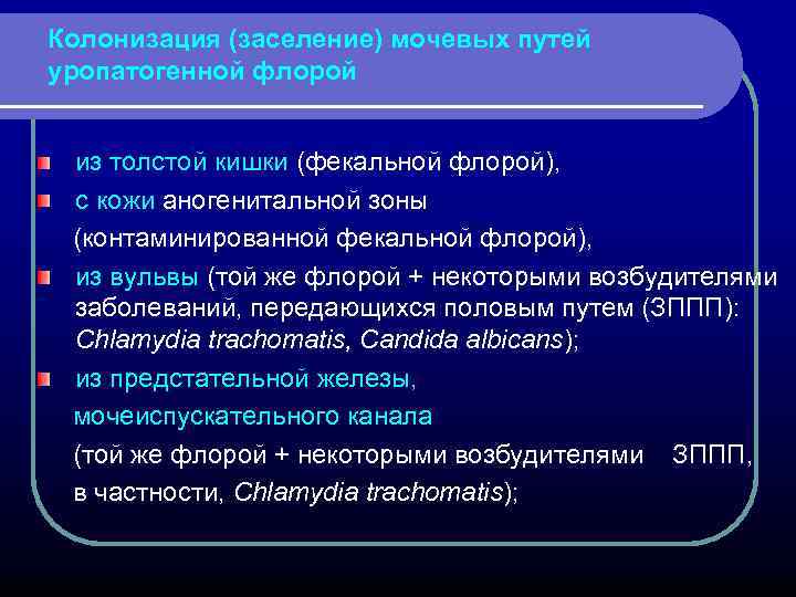 Колонизация (заселение) мочевых путей уропатогенной флорой из толстой кишки (фекальной флорой), с кожи аногенитальной