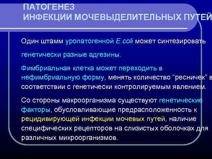 ПАТОГЕНЕЗ ИНФЕКЦИИ МОЧЕВЫДЕЛИТЕЛЬНЫХ ПУТЕЙ Один штамм уропатогенной E. coli может синтезировать генетически разные адгезины.