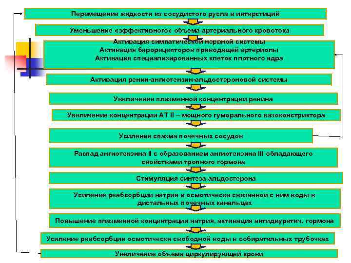 Перемещение жидкости из сосудистого русла в интерстиций Уменьшение «эффективного» объема артериального кровотока Активация симпатической