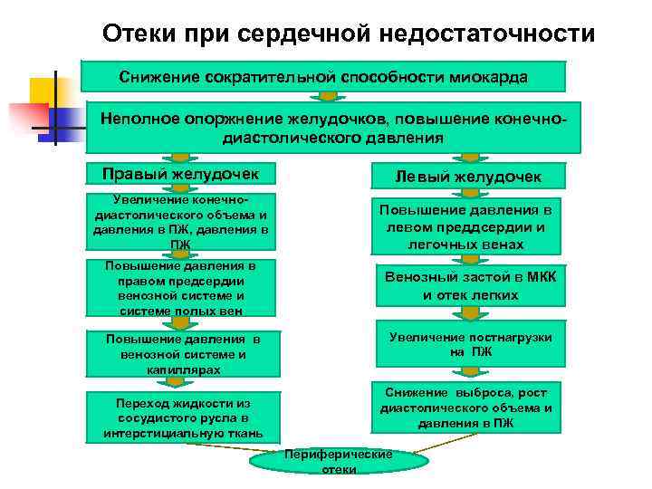 Отеки при сердечной недостаточности Снижение сократительной способности миокарда Неполное опоржнение желудочков, повышение конечнодиастолического давления