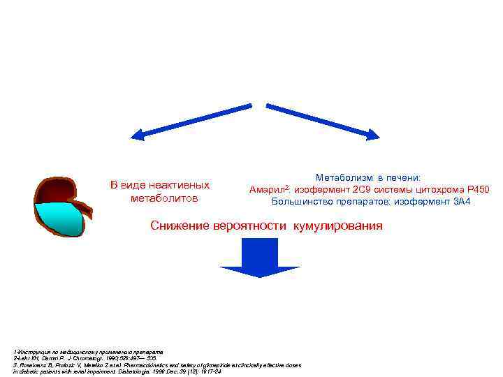 Фармакокинетика Амарила: оптимальный баланс между почечной и печеночной экскрецией Двойной путь выведения Амарила 1: