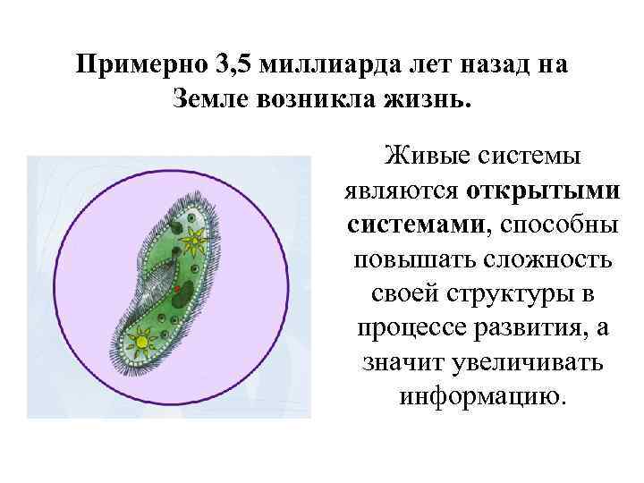 Примерно 3, 5 миллиарда лет назад на Земле возникла жизнь. Живые системы являются открытыми