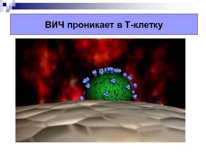 ВИЧ проникает в Т-клетку 