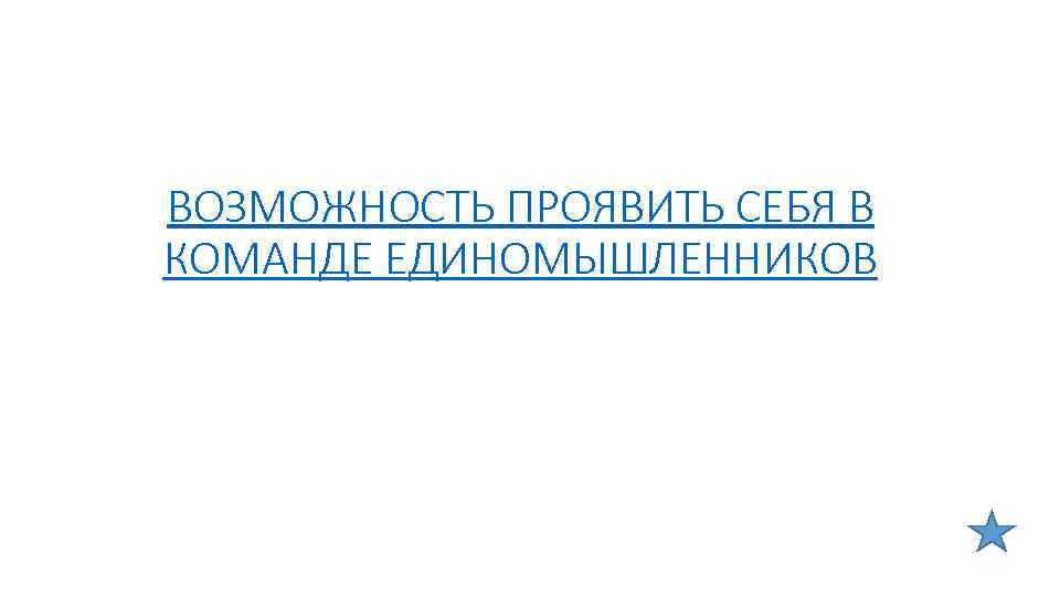ВОЗМОЖНОСТЬ ПРОЯВИТЬ СЕБЯ В КОМАНДЕ ЕДИНОМЫШЛЕННИКОВ 
