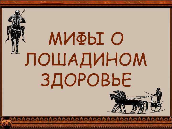 МИФЫ О ЛОШАДИНОМ ЗДОРОВЬЕ 