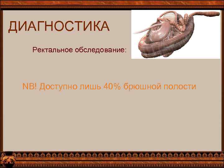 ДИАГНОСТИКА Ректальное обследование: NB! Доступно лишь 40% брюшной полости 