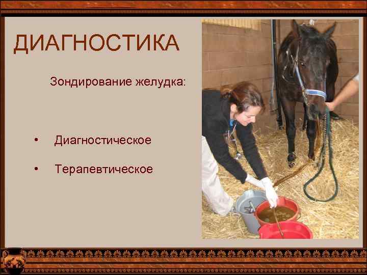 ДИАГНОСТИКА Зондирование желудка: • Диагностическое • Терапевтическое 