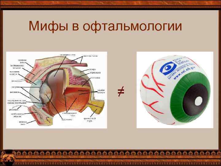Мифы в офтальмологии ≠ 