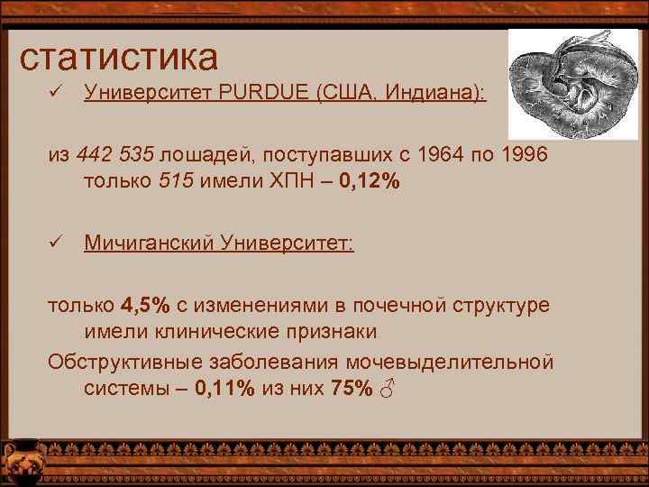 статистика ü Университет PURDUE (США, Индиана): из 442 535 лошадей, поступавших с 1964 по