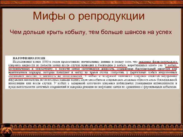 Мифы о репродукции Чем дольше крыть кобылу, тем больше шансов на успех 