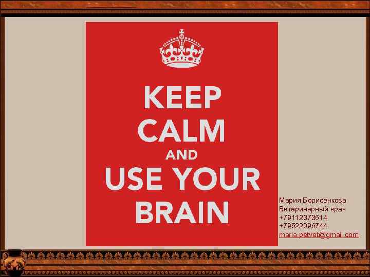 Мария Борисенкова Ветеринарный врач +79112373614 +79522096744 maria. petvet@gmail. com 