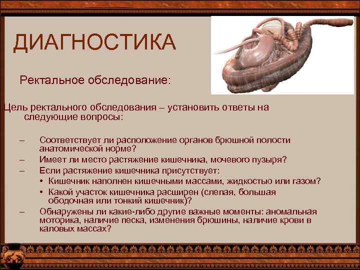ДИАГНОСТИКА Ректальное обследование: Цель ректального обследования – установить ответы на следующие вопросы: – –