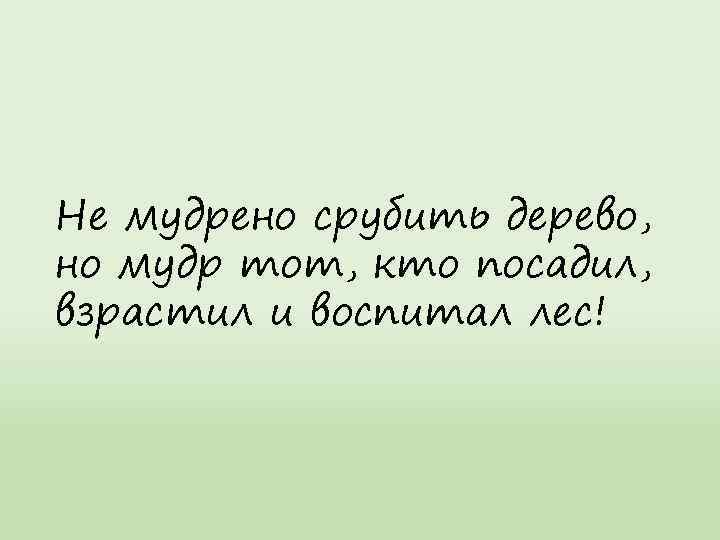Не мудрено срубить дерево, но мудр тот, кто посадил, взрастил и воспитал лес! 