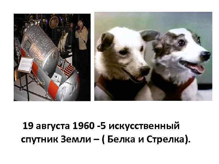 19 августа 1960 -5 искусственный спутник Земли – ( Белка и Стрелка). 