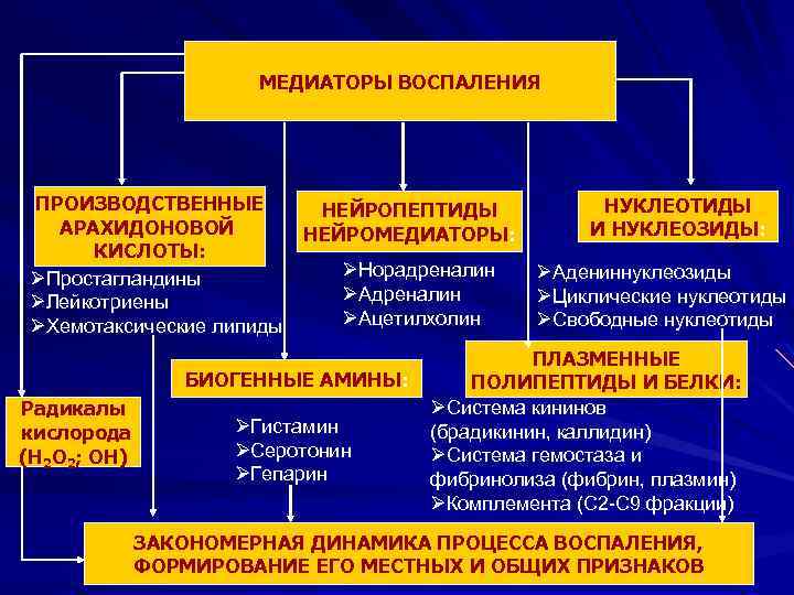 МЕДИАТОРЫ ВОСПАЛЕНИЯ ПРОИЗВОДСТВЕННЫЕ АРАХИДОНОВОЙ КИСЛОТЫ: ØПростагландины ØЛейкотриены ØХемотаксические липиды НЕЙРОПЕПТИДЫ НЕЙРОМЕДИАТОРЫ: ØНорадреналин ØАцетилхолин БИОГЕННЫЕ