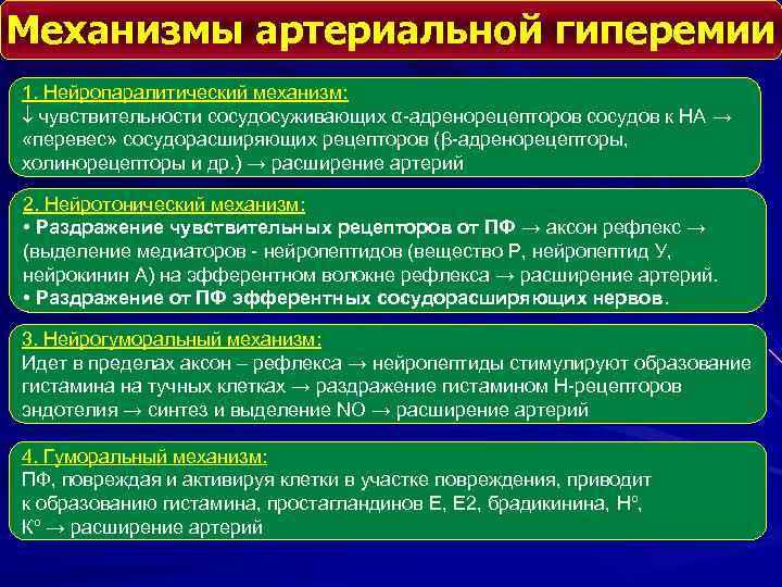 Механизмы артериальной гиперемии 1. Нейропаралитический механизм: чувствительности сосудосуживающих α-адренорецепторов сосудов к НА → «перевес»