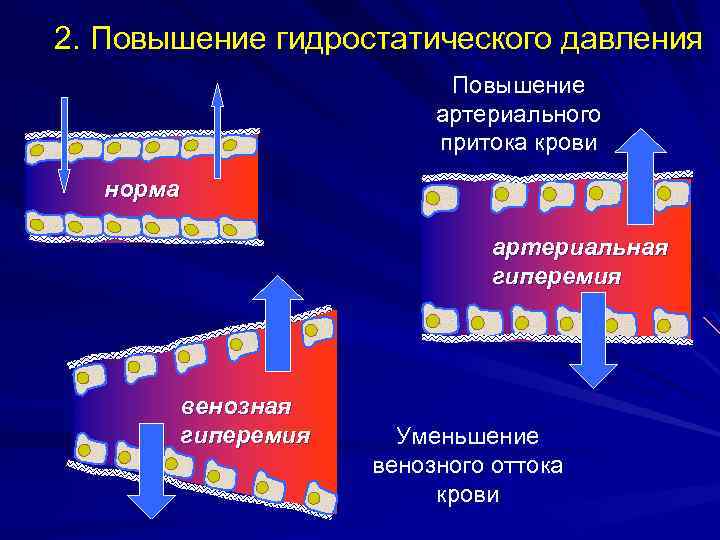 2. Повышение гидростатического давления Повышение артериального притока крови норма артериальная гиперемия венозная гиперемия Уменьшение
