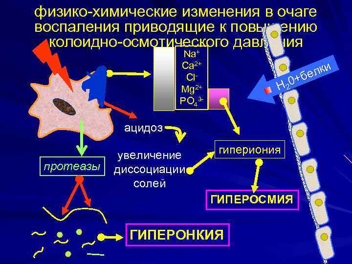 физико-химические изменения в очаге воспаления приводящие к повышению колоидно-осмотического давления + Na Ca 2+